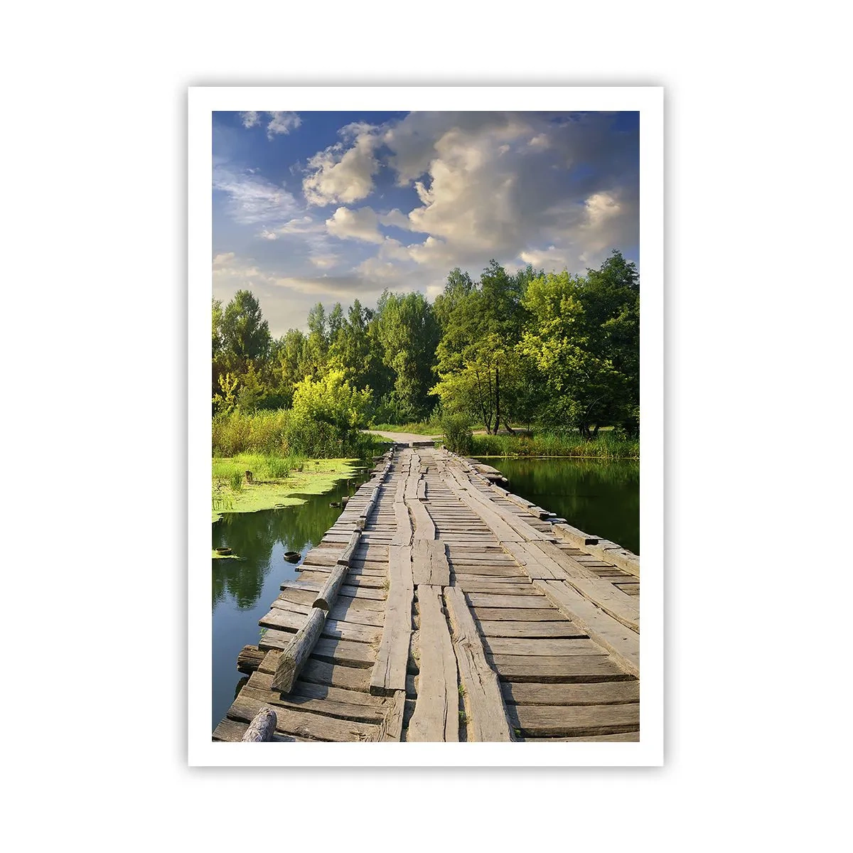 Affisch - Sommar, sommar överallt - 70x100 cm