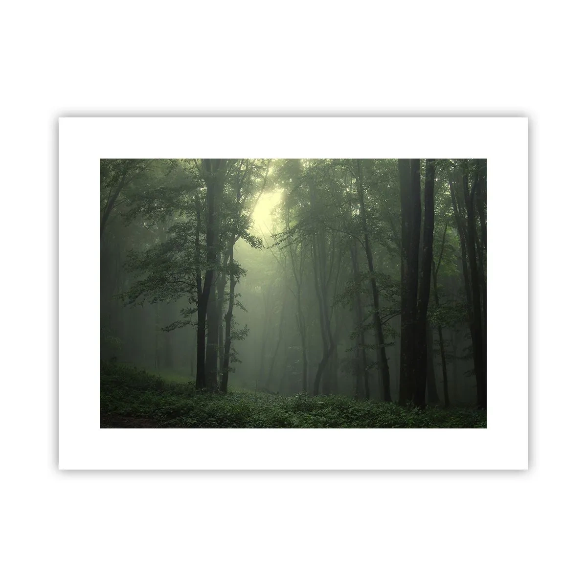 Affisch - Innan skogen vaknar - 40x30 cm