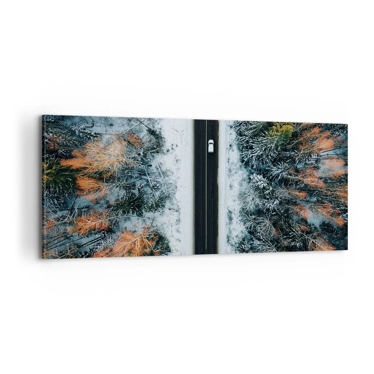 Canvastavla - Bild på duk - Genom vinterskogen - 100x40 cm