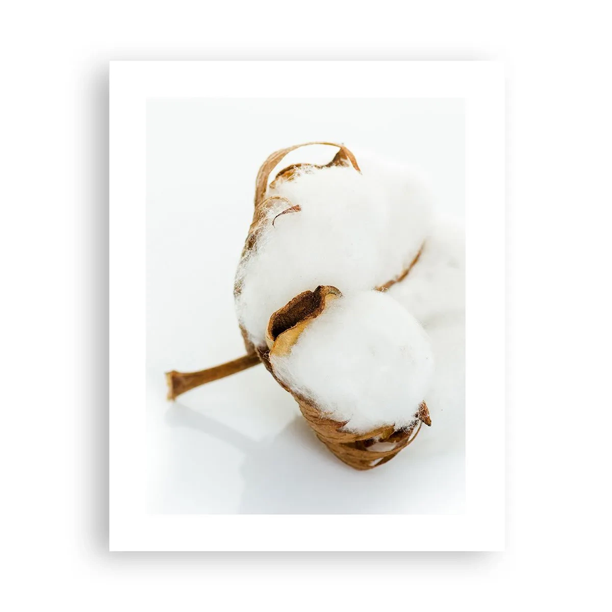 Affisch - Mjuk av naturen - 40x50 cm