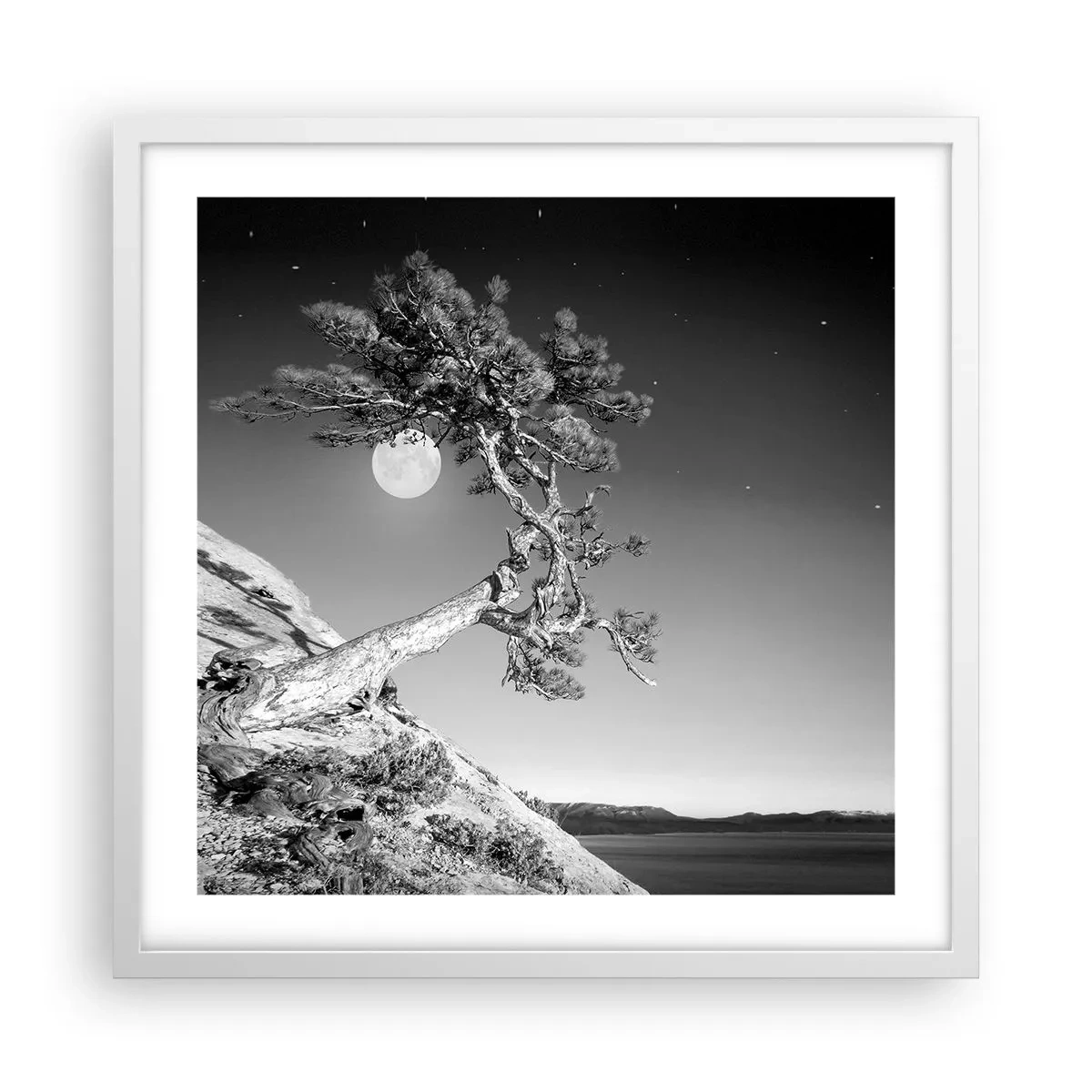 Affisch i vit ram - Segerrik kämpe - 50x50 cm