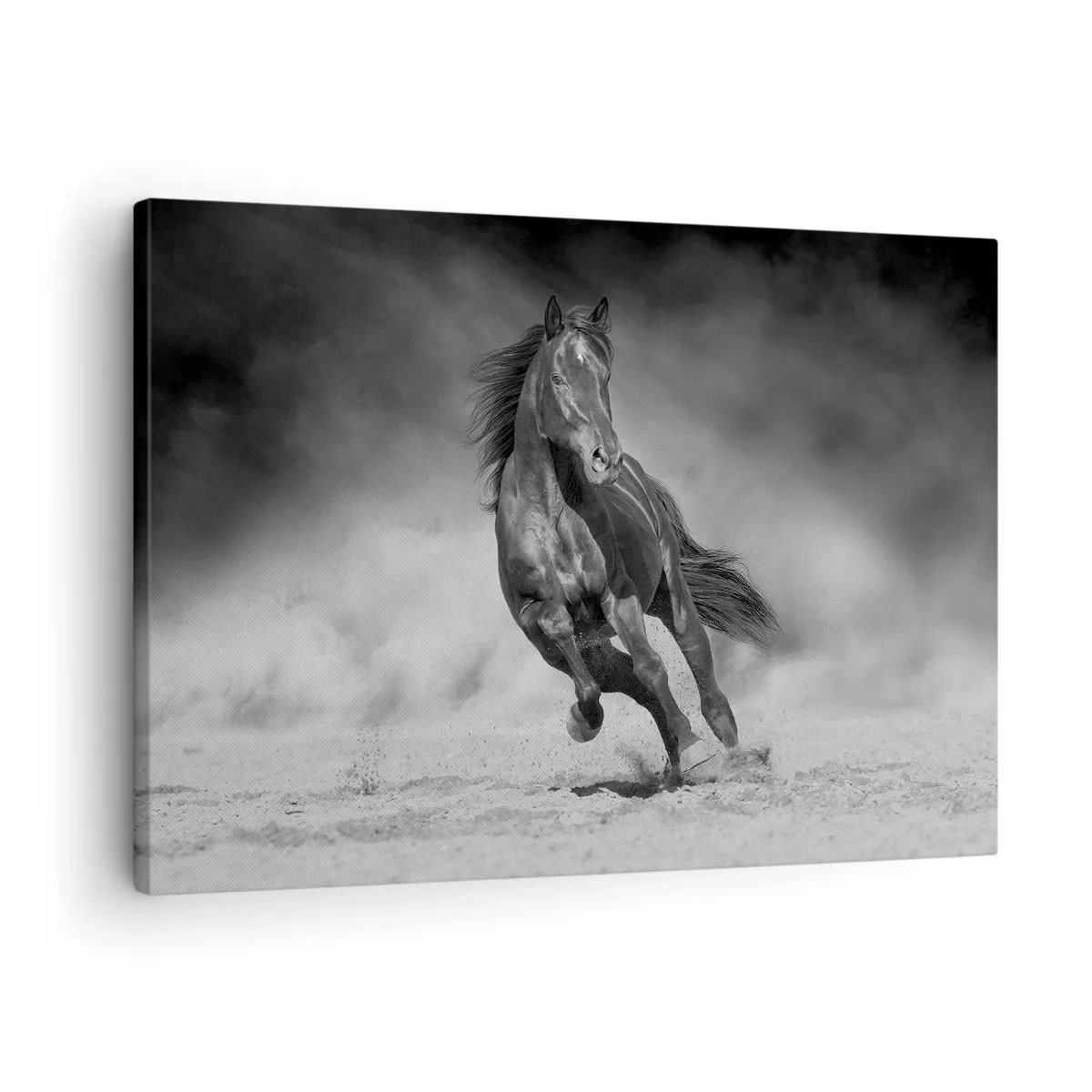 Canvastavla - Bild på duk - En svartvit häst galopperar över sanden - 70x50cm - Värd själva emiren - Modern väggdekoration för vardagsrum och sovrum ARTTOR