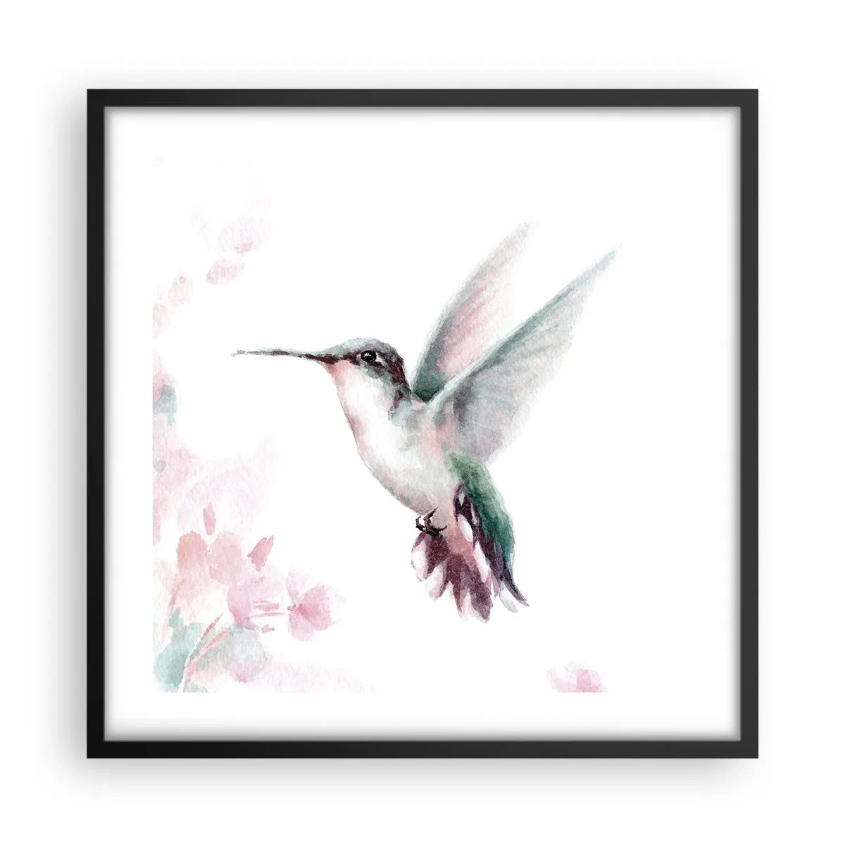 Affisch i svart ram - Fångad flaxande - 50x50 cm