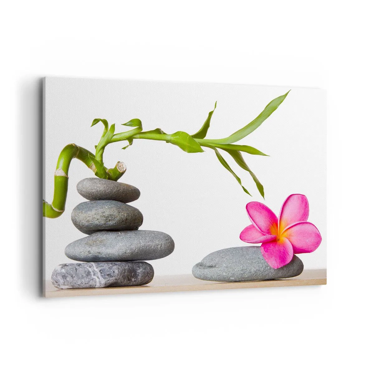 Canvastavla - Bild på duk - Livets färger och varaktighet - 120x80 cm