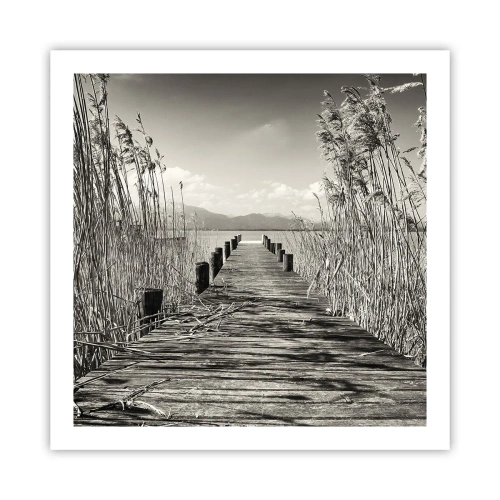 Affisch - I gräsets fristad - 60x60 cm