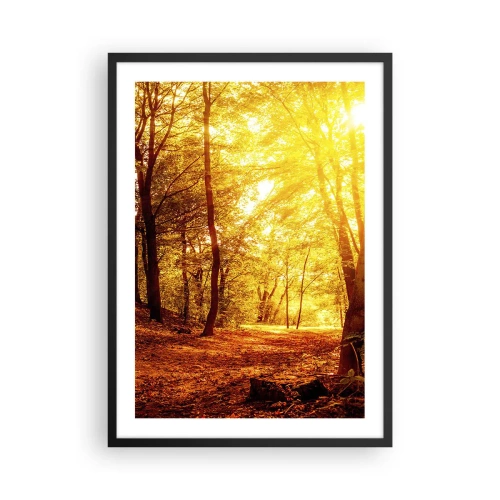Affisch i svart ram - Solnedgång som lyser upp en höstskog full av gyllene löv - 50x70cm - Mot guldgläntan - Modern väggdekoration för vardagsrum och sovrum ARTTOR