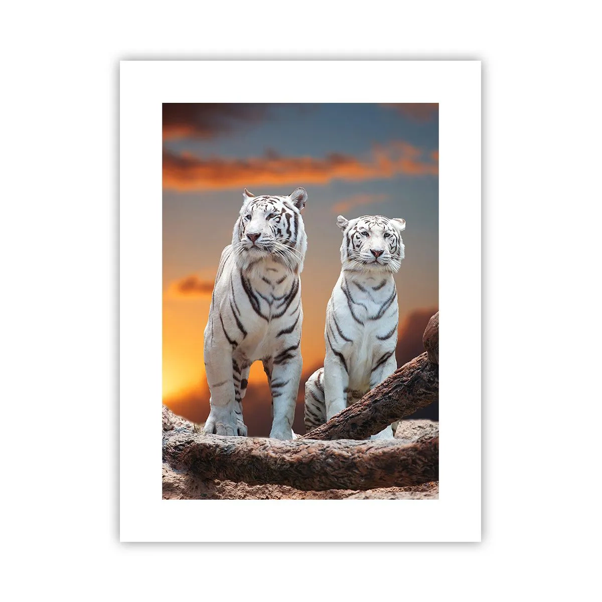 Affisch - Helt som i Narnia - 30x40 cm