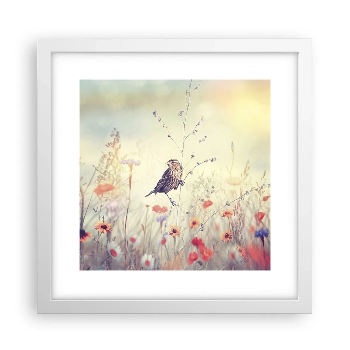 Affisch i vit ram - Fågelporträtt med en äng i bakgrunden - 30x30 cm