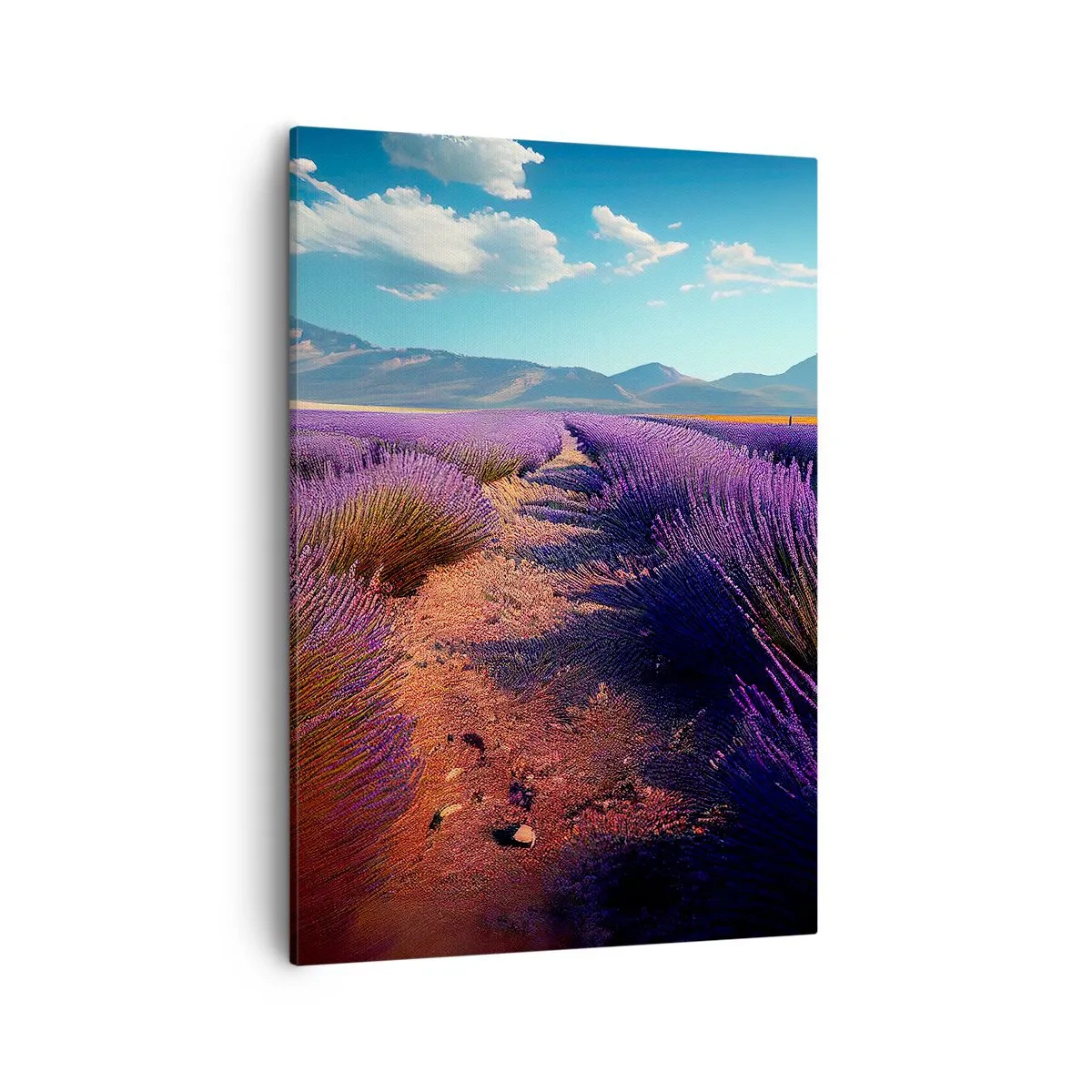 Canvastavla - Bild på duk - Doftande fält - 50x70 cm
