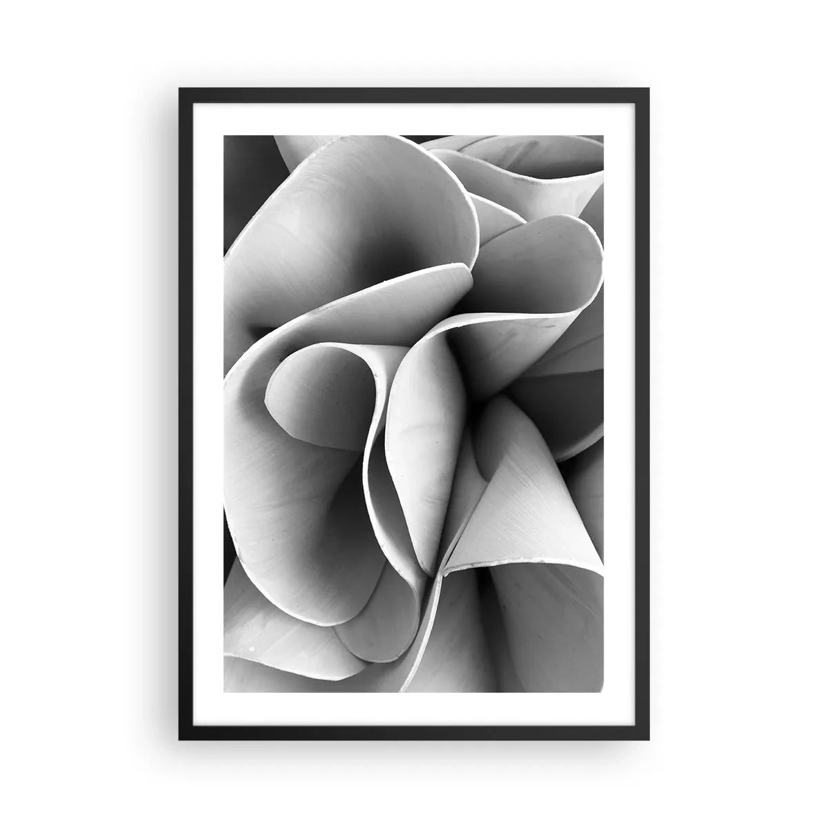 Affisch i svart ram - Abstrakta kronblad i grå nyanser - 50x70cm - Det händer i rummet - Modern väggdekoration för vardagsrum och sovrum ARTTOR