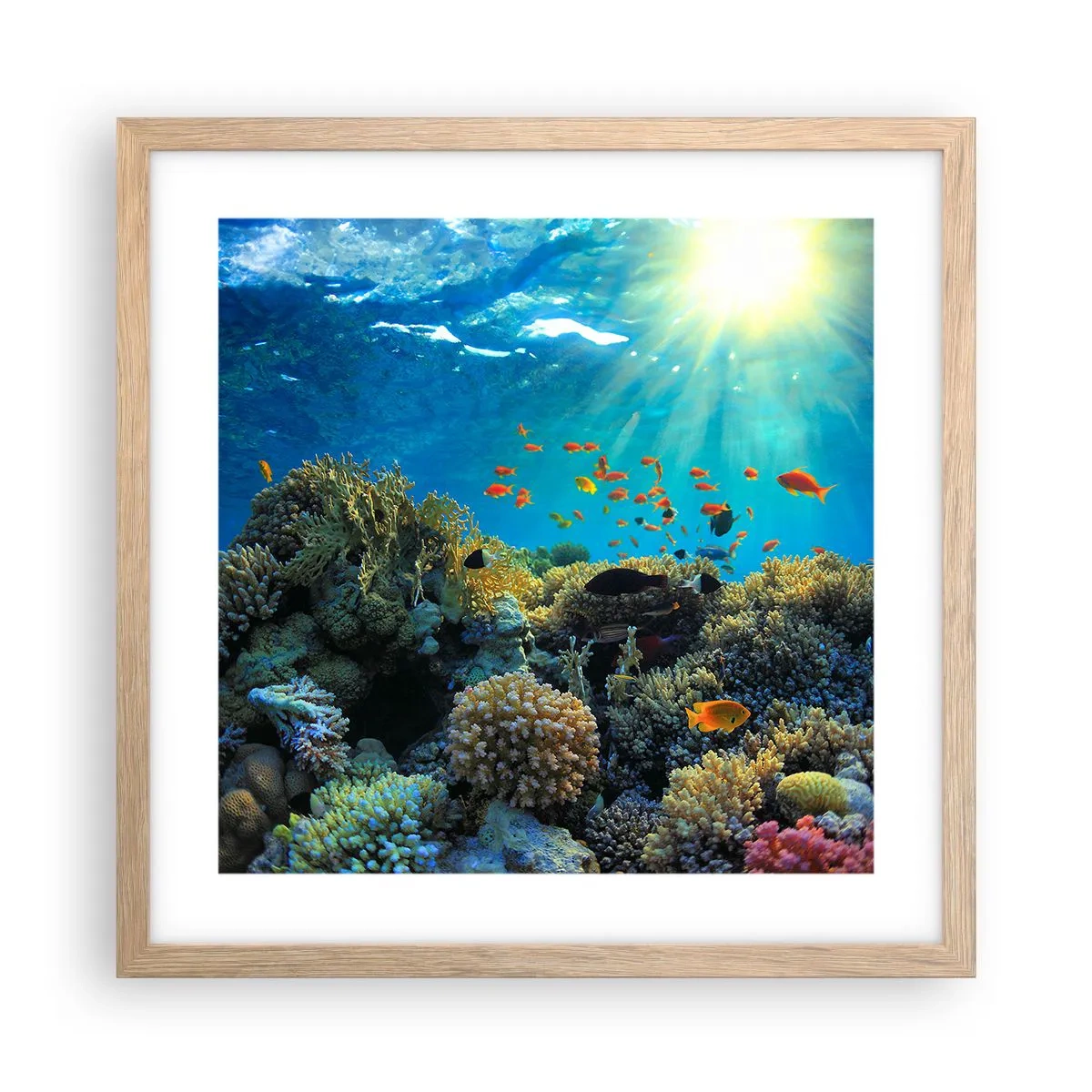 Affisch i ram av ljusek - Undervatenskatter - 40x40 cm