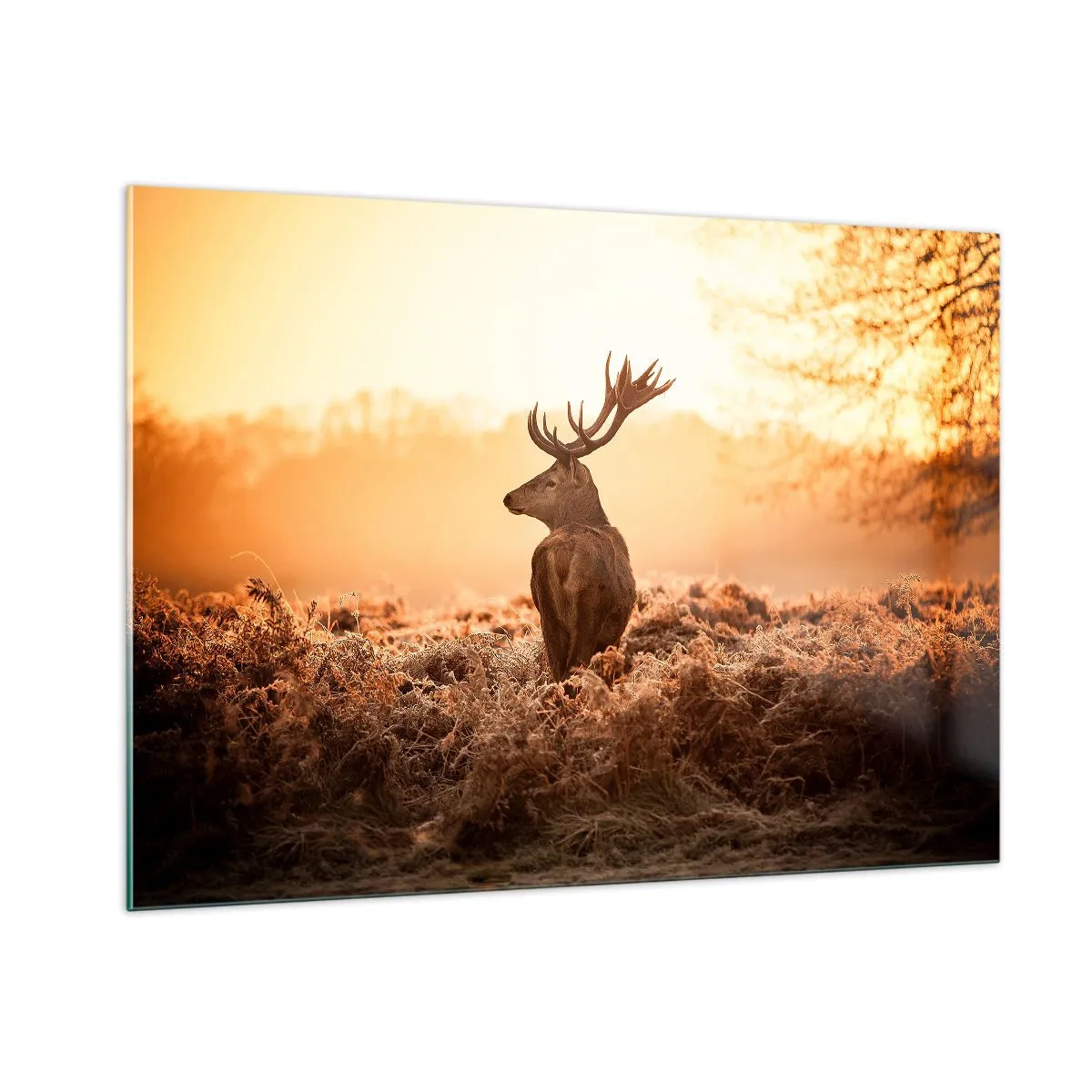 Glastavla - Bild på glas - Herre på godset - 100x70 cm