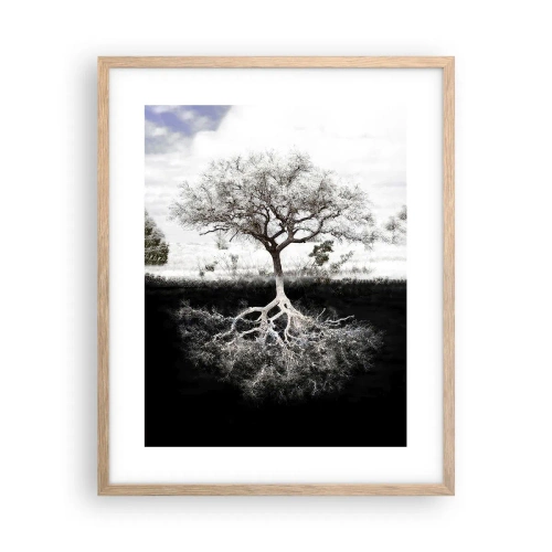 Affisch i ram av ljusek - Upptäckt av världens natur - 40x50 cm