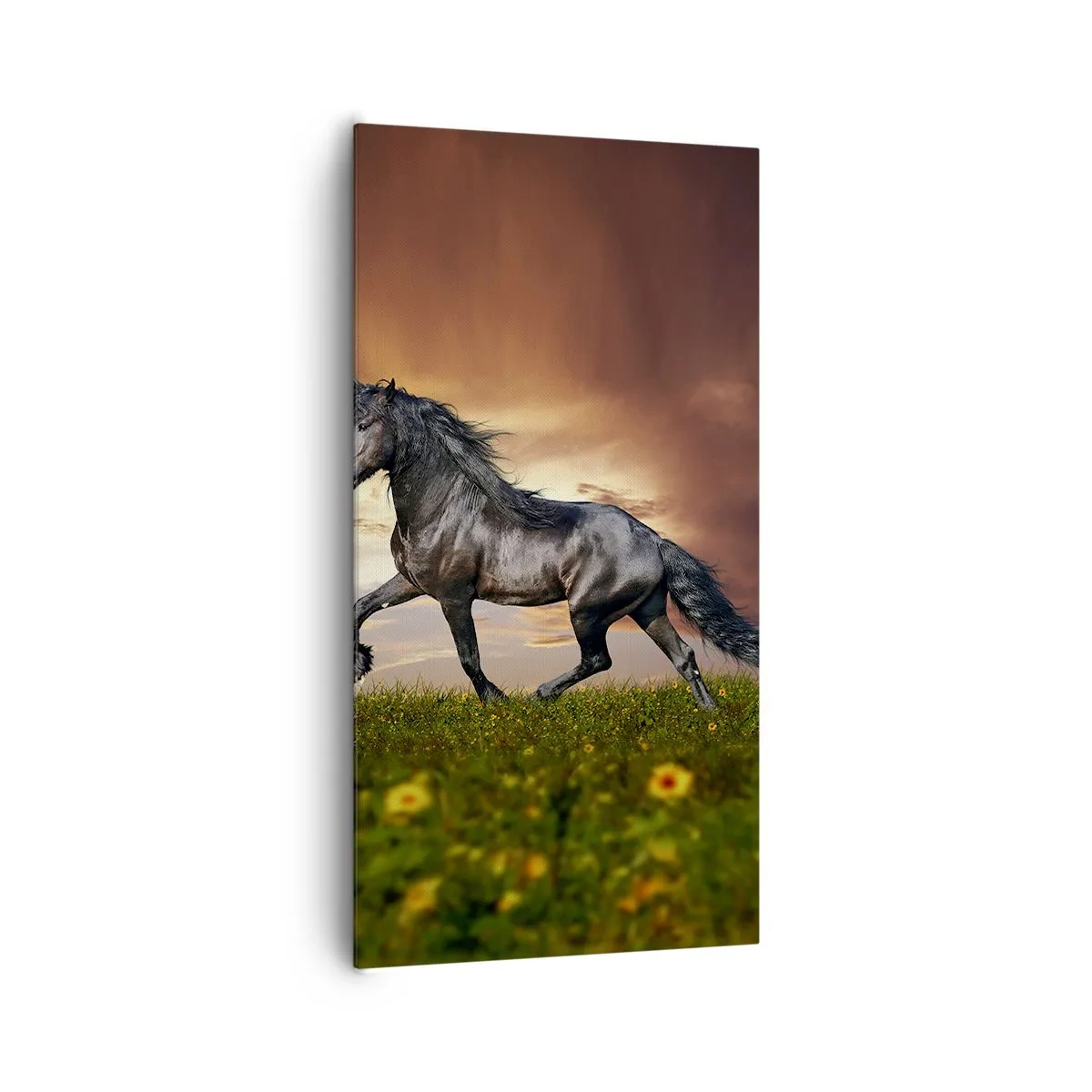 Canvastavla - Bild på duk - Svarta prinsen - 65x120 cm