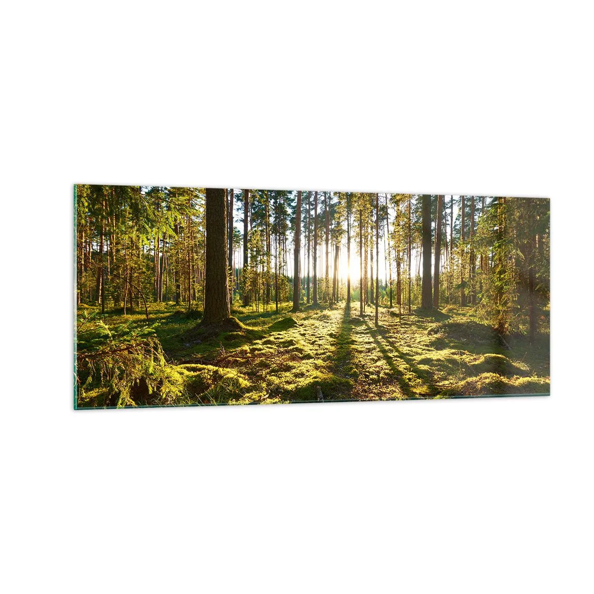 Glastavla - Bild på glas - ...Bortom sjunde skogen - 100x40 cm