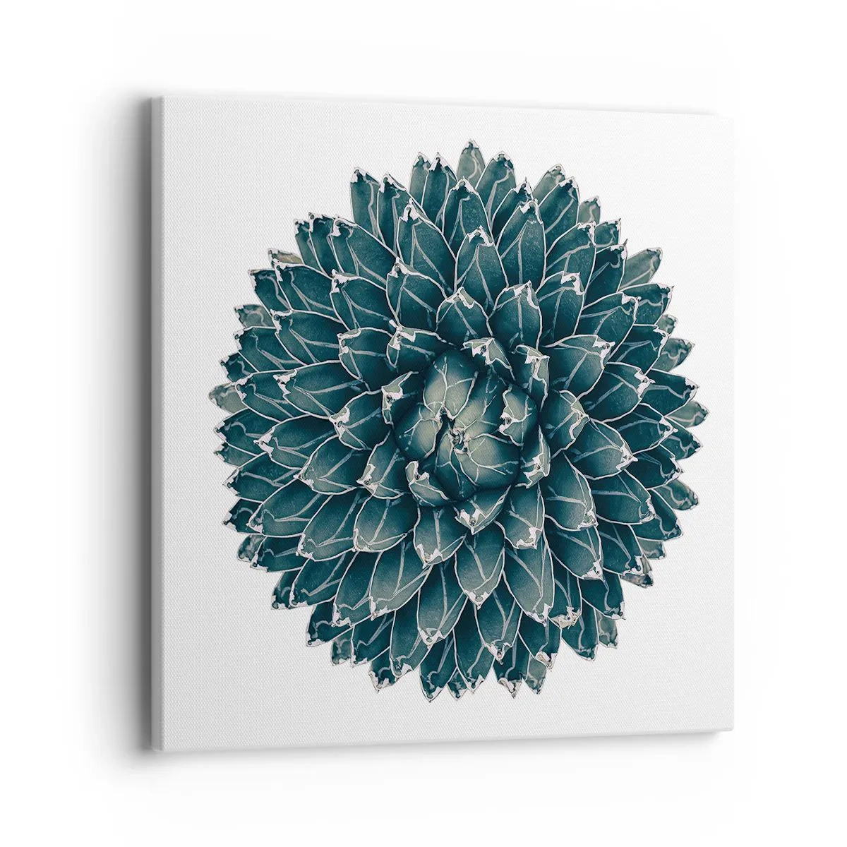 Canvastavla - Bild på duk - Öknens stjärna - 40x40 cm