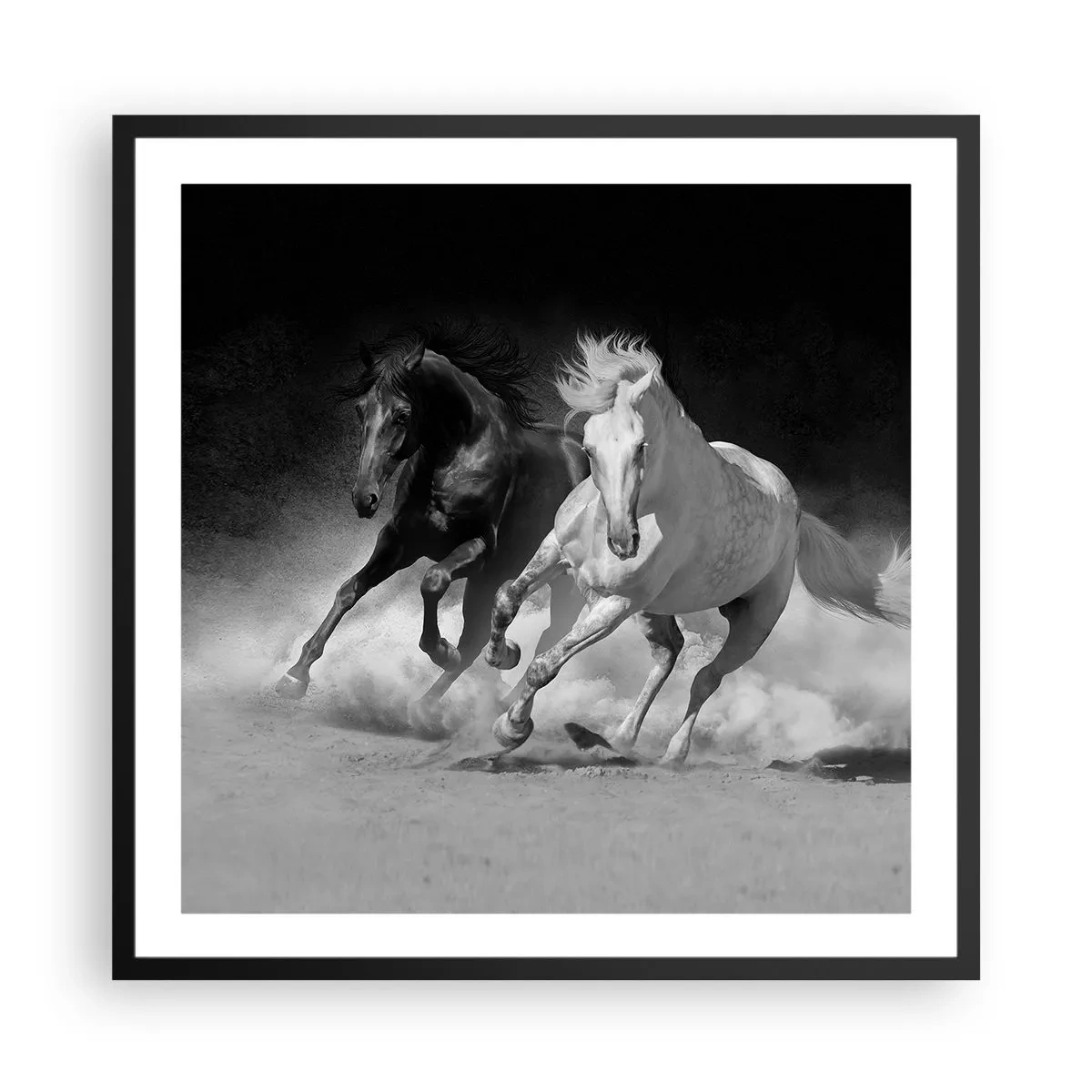 Affisch i svart ram - Frihetens galopp - 60x60 cm