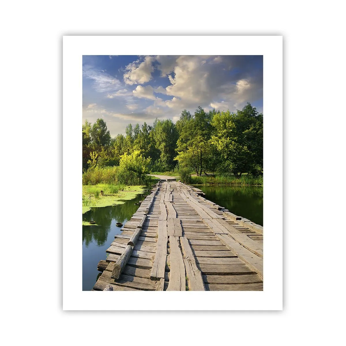 Affisch - Sommar, sommar överallt - 40x50 cm