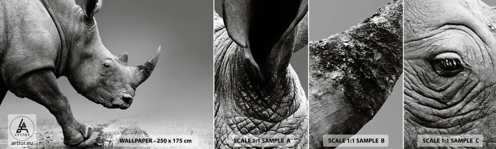 Fototapet Prov Standard Eco - Ostoppbar kraft - Noshörning, Djur, Afrika - 100x30 cm