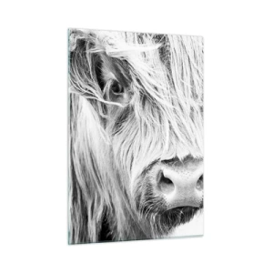 Glastavla - Bild på glas - Skotsk vildhet - 50x70 cm