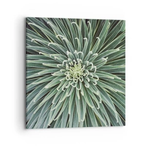 Canvastavla - Bild på duk - Stjärna föds - 70x70 cm