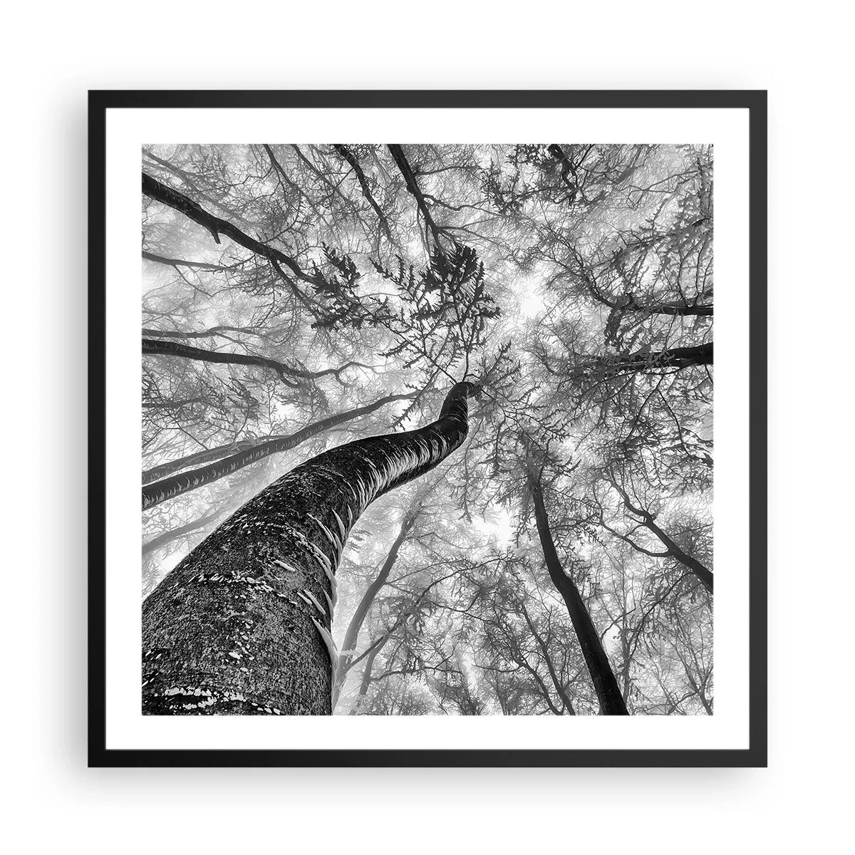 Affisch i svart ram - Kapplöpning mot ljuset - 60x60 cm