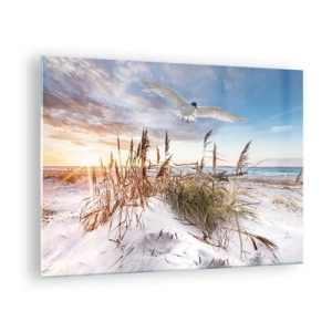 Glastavla - Bild på glas - En fågel som flyger över sanddynerna vid solnedgången - 70x50cm - Vind från havet - Modern väggdekoration för vardagsrum och sovrum ARTTOR