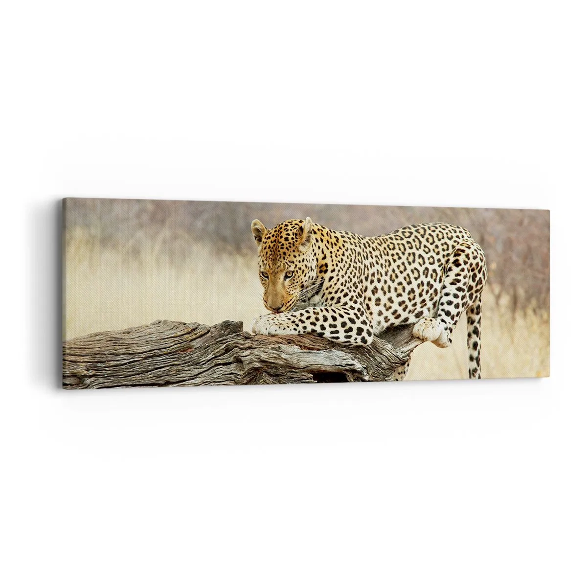 Canvastavla - Bild på duk - Jag går min egen väg - 90x30 cm