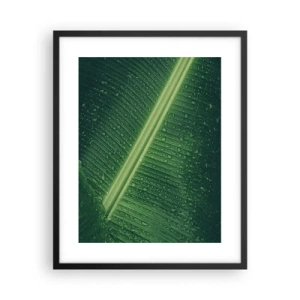 Affisch i svart ram - Grönskans struktur - 40x50 cm