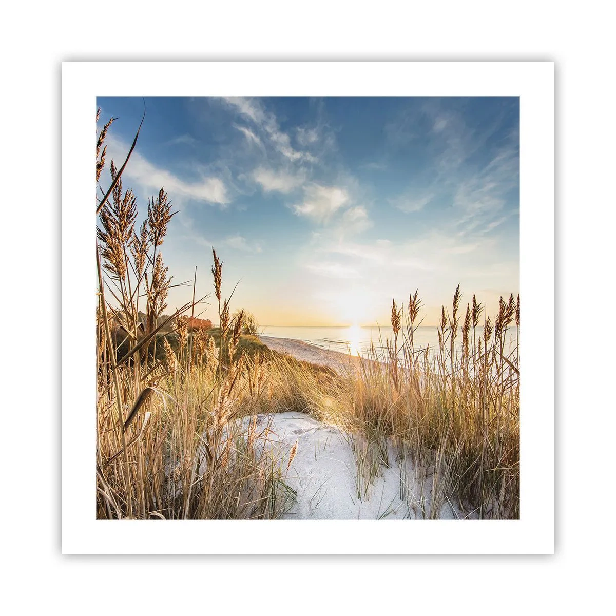 Affisch - Nordlig strand - 50x50 cm