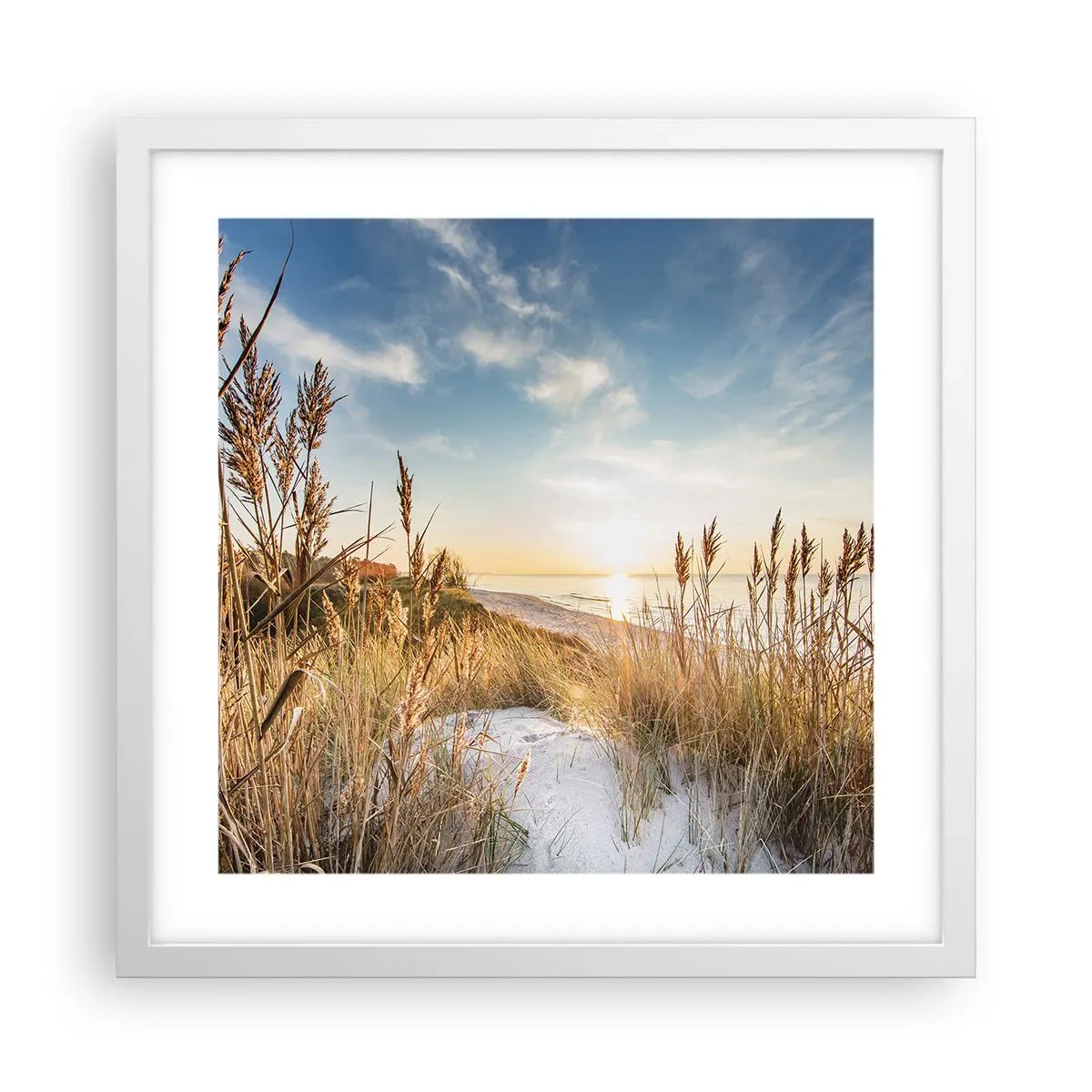 Affisch i vit ram - Nordlig strand - 40x40 cm