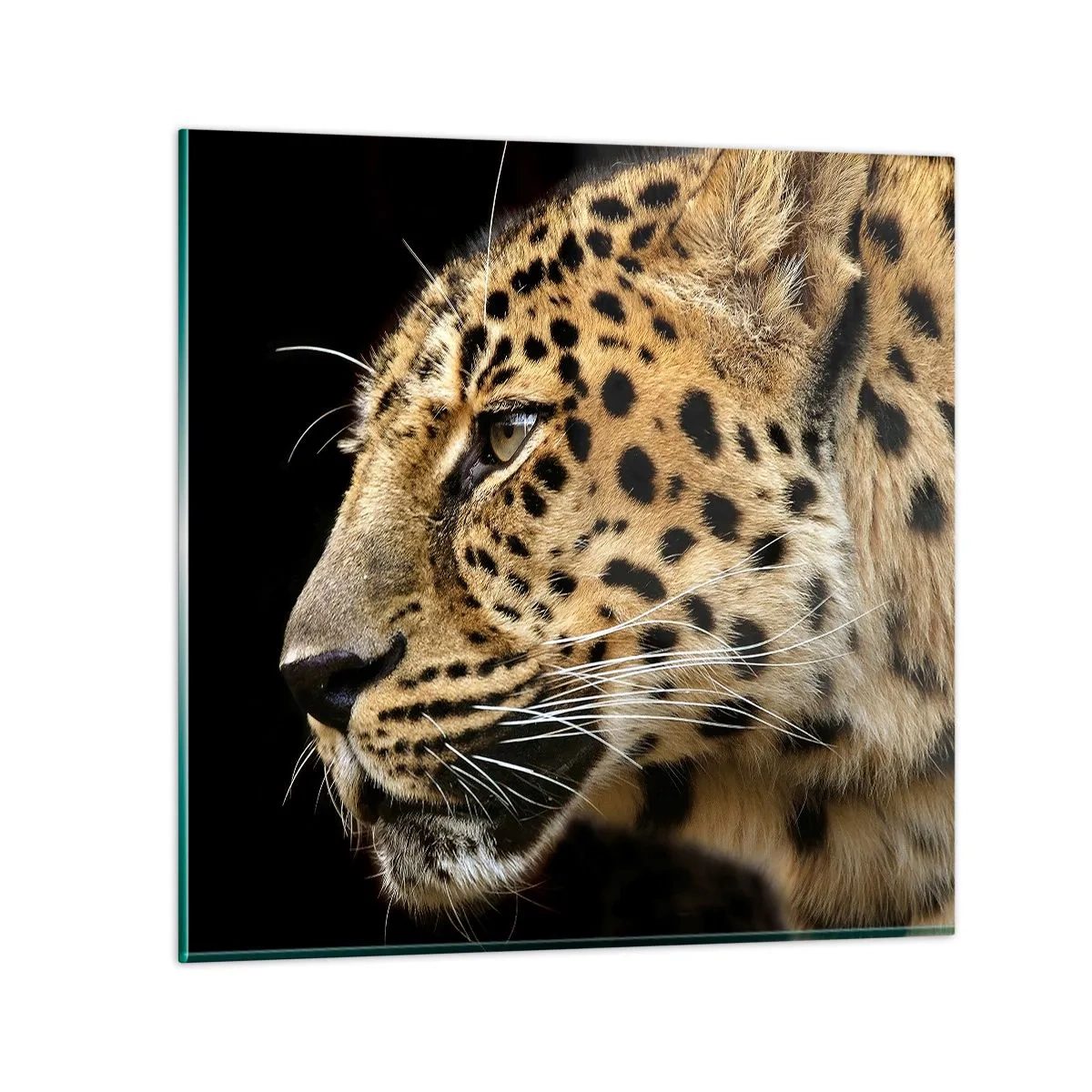 Glastavla - Bild på glas - Lugn, fokuserad, redo - 40x40 cm