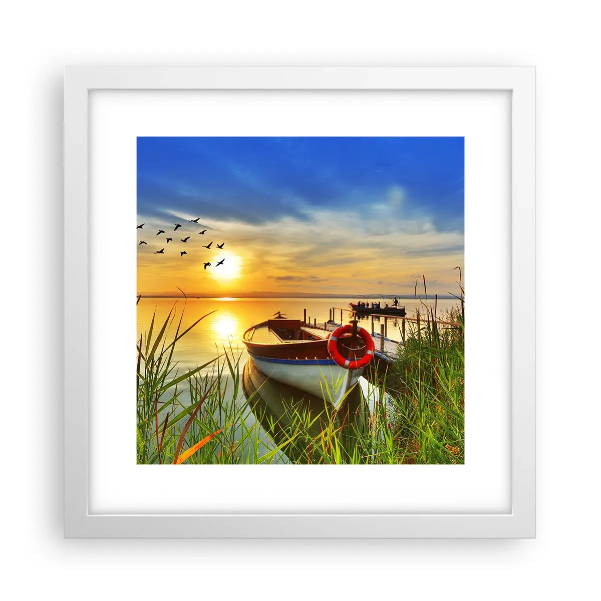 Affisch i vit ram - Storskarvarna drar iväg - 30x30 cm