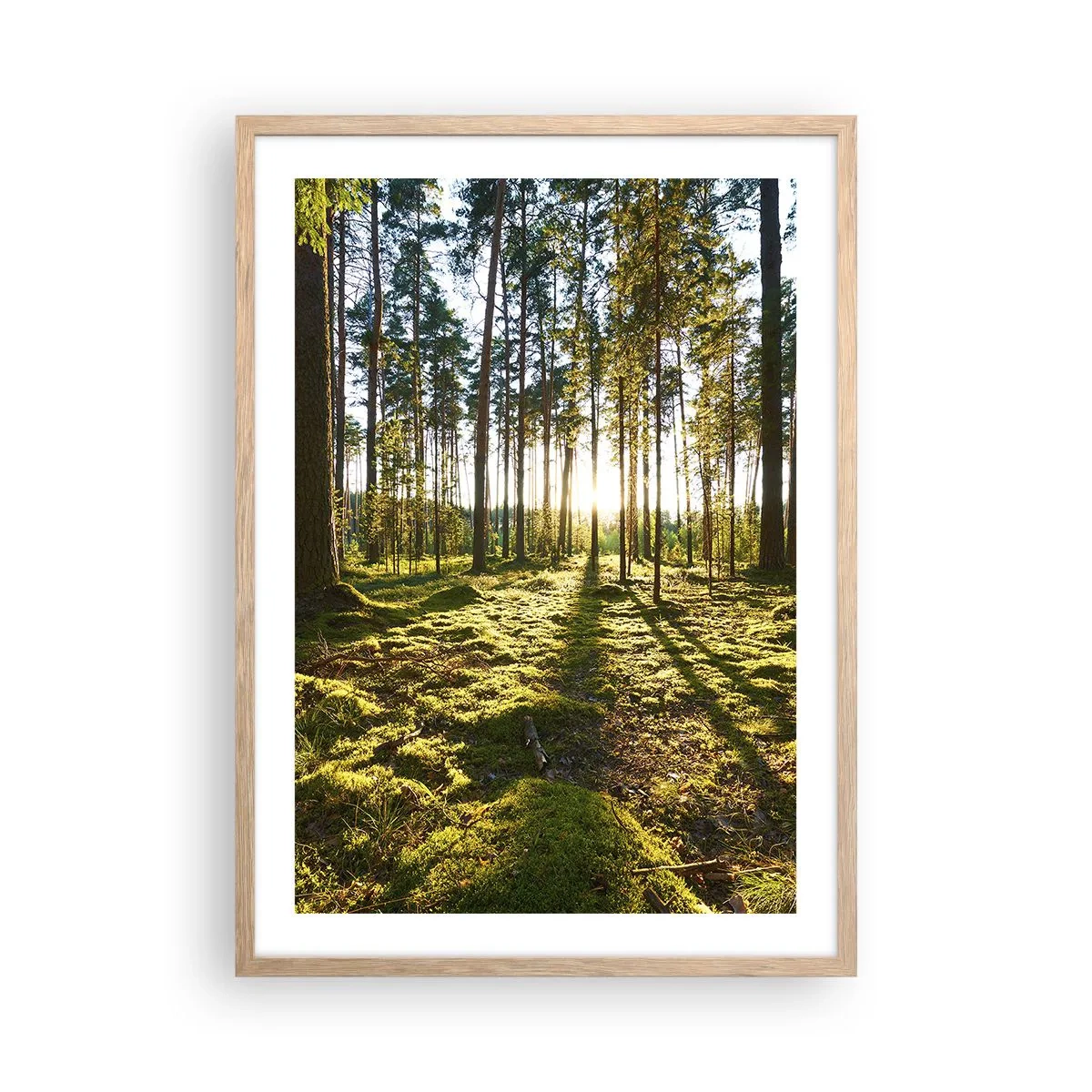 Affisch i ram av ljusek - ...Bortom sjunde skogen - 50x70 cm