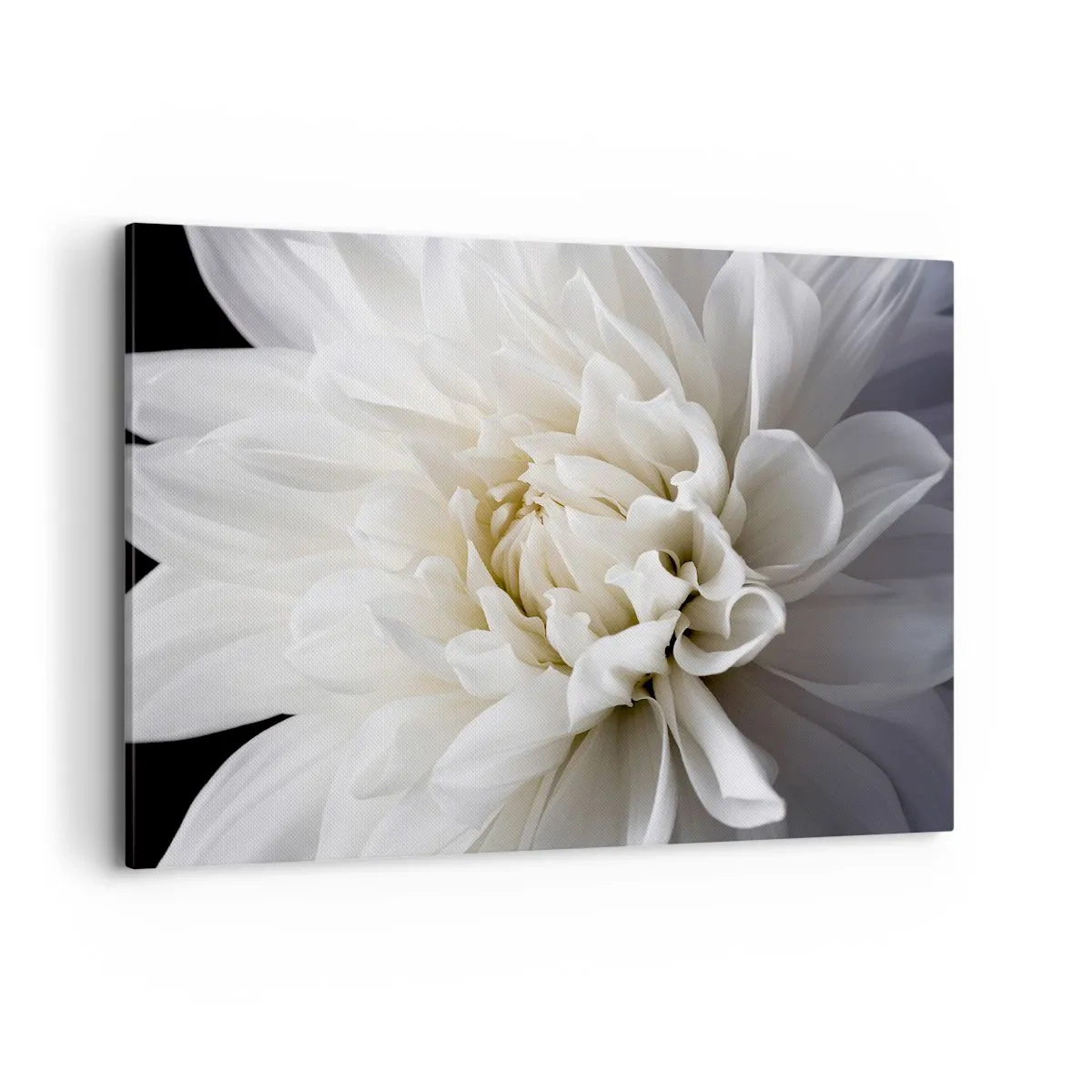 Canvastavla - Bild på duk - En bruds morgon - 100x70 cm