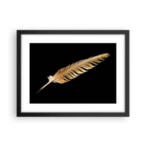 Affisch i svart ram - Fjäder... - 40x30 cm