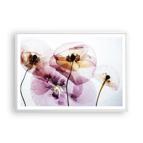 Affisch i vit ram - Blommornas transparenta kroppar - 100x70 cm