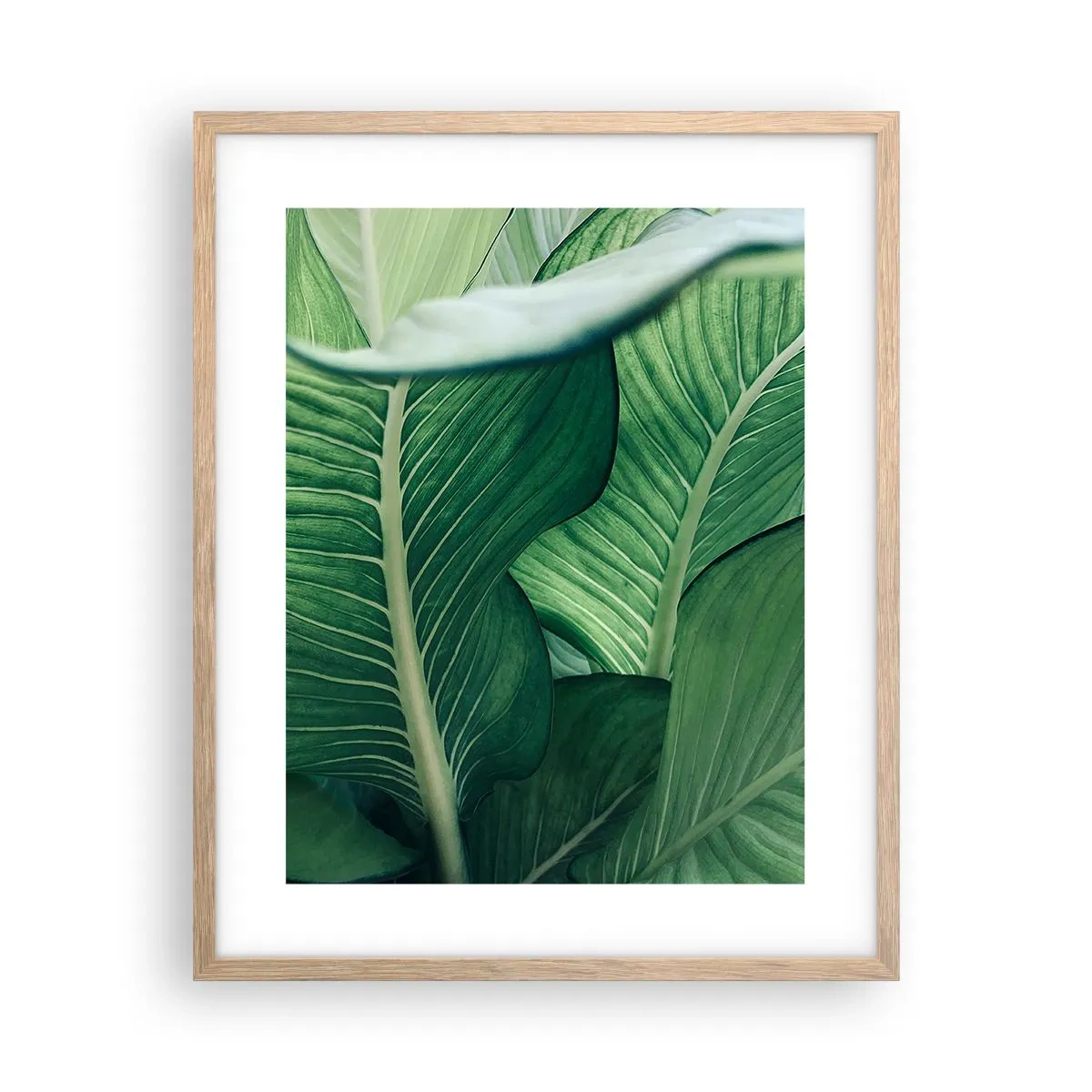 Affisch i ram av ljusek - Livet intensivt grönt - 40x50 cm
