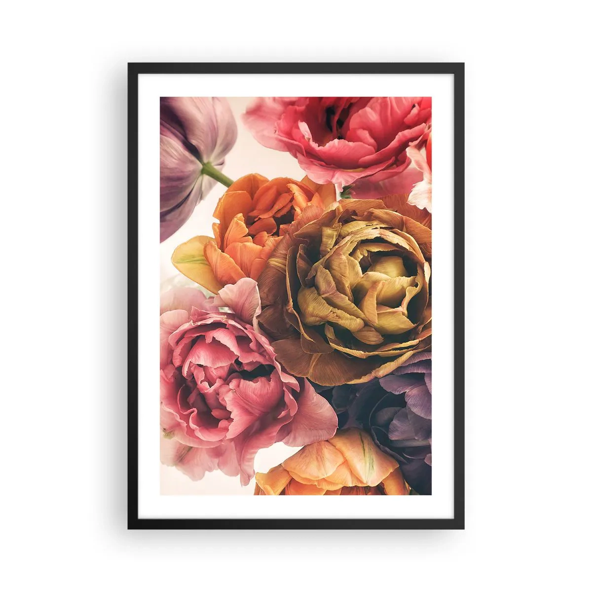 Affisch i svart ram - Färgglada pionblommor i ett konstnärligt tillvägagångssätt - 50x70cm - Livets högtid - Modern väggdekoration för vardagsrum och sovrum ARTTOR