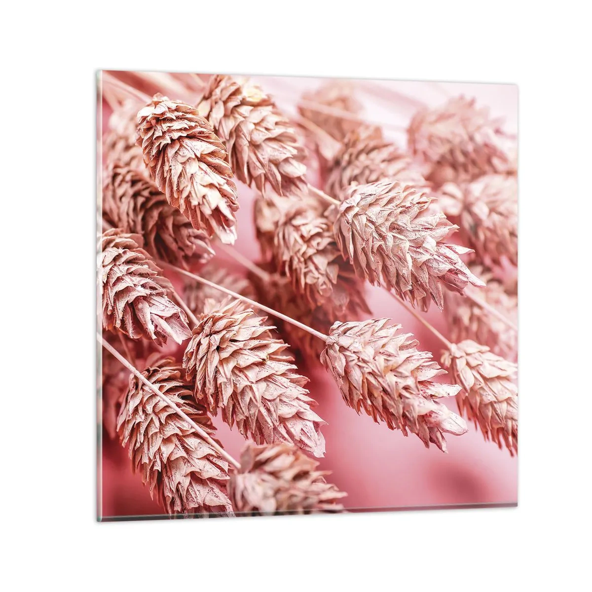 Glastavla - Bild på glas - Blomkaskad i rosa - 40x40 cm