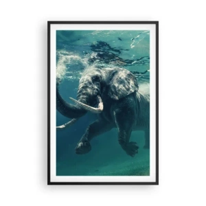 Affisch i svart ram - Alla tycker om att simma - 61x91 cm