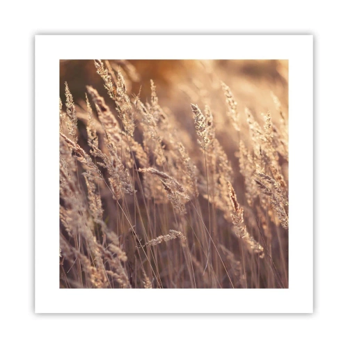 Affisch - Redo att välkomna hösten - 40x40 cm