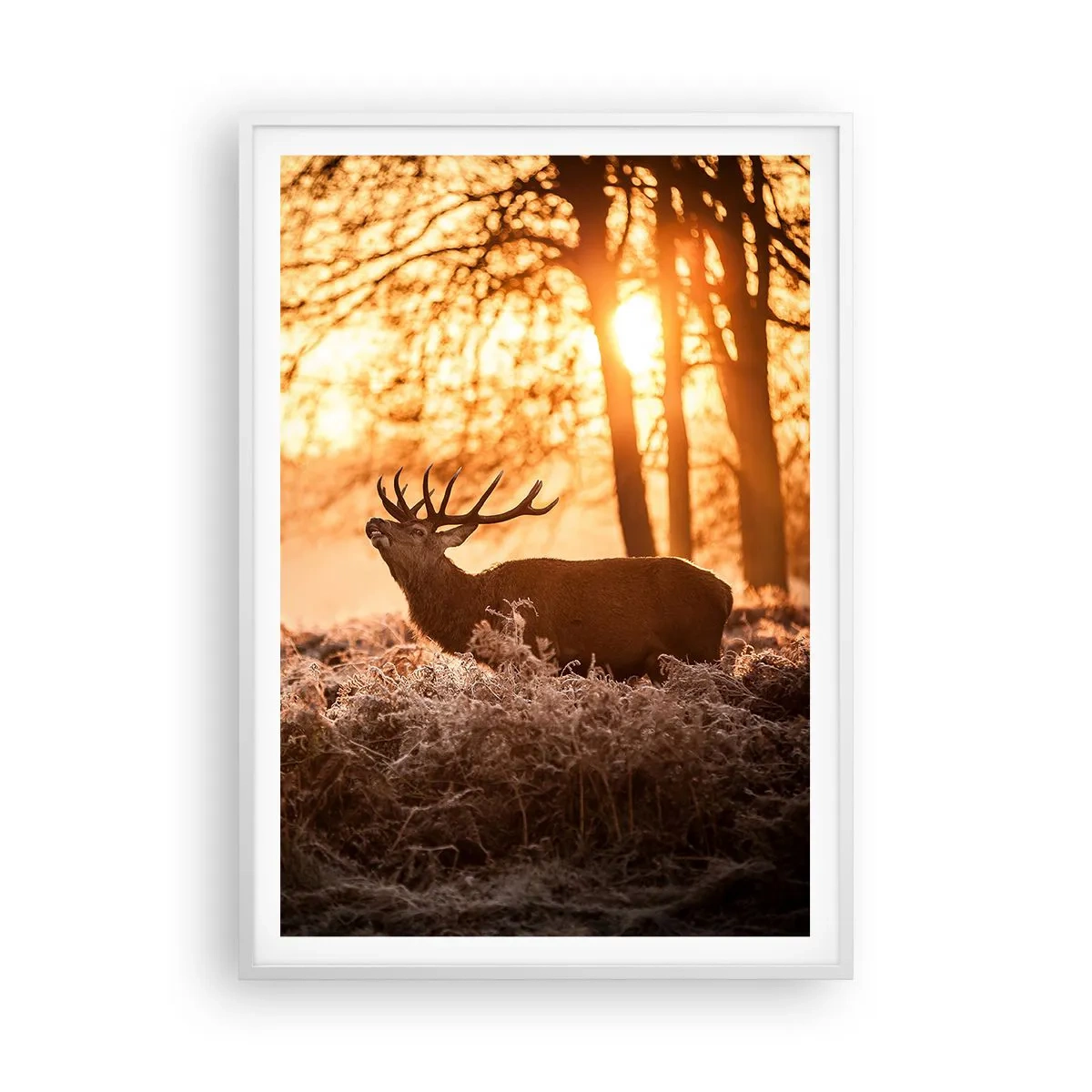 Affisch i vit ram - Jägarens dröm - 70x100 cm
