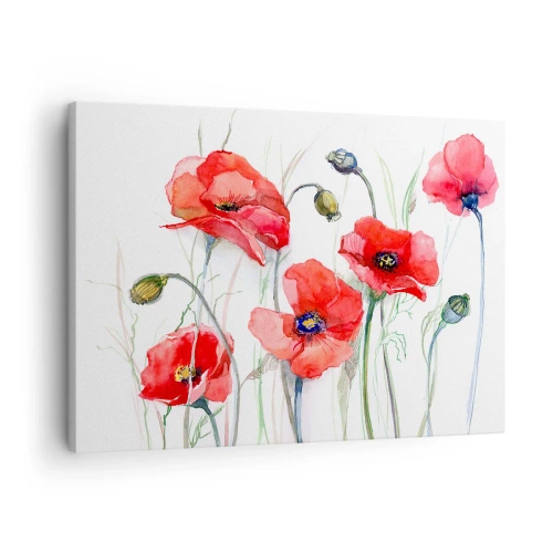 Canvastavla - Bild på duk - Akvarell vallmo på en delikat bakgrund - 70x50cm - Polska blommor - Modern väggdekoration för vardagsrum och sovrum ARTTOR