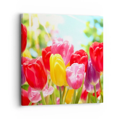 Canvastavla - Bild på duk - Det är vi, majfärgerna! - 40x40 cm