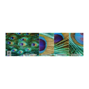 Provbit av fototapet Premium Sand - Påfågels blick - Abstraktion, Påfågelfjädrar, Fågelfjäder - 100x30 cm
