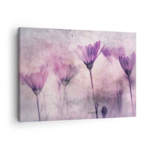 Canvastavla - Bild på duk - Fina blommor i nyanser av lila mot en ljus bakgrund - 70x50cm - Blommornas sömn - Modern väggdekoration för vardagsrum och sovrum ARTTOR