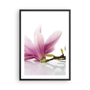 Affisch i svart ram - Rosa magnoliablomma på en gren med vit bakgrund - 50x70cm - Lätta som vårkänslan - Modern väggdekoration för vardagsrum och sovrum ARTTOR