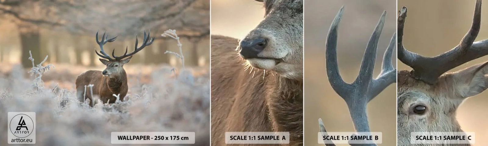 Provbit av självhäftande fototapet Deluxe Sticker - Uppfriskande morgon - Landskap, Rådjur, Djur - 100x30 cm