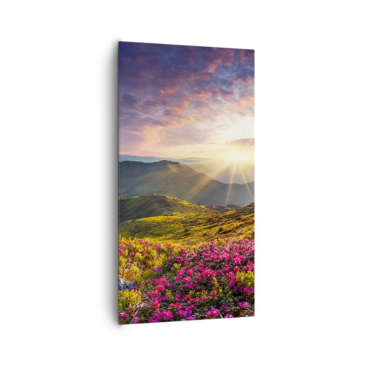 Canvastavla - Bild på duk - Fjällmorgonens fräschhet - 65x120 cm